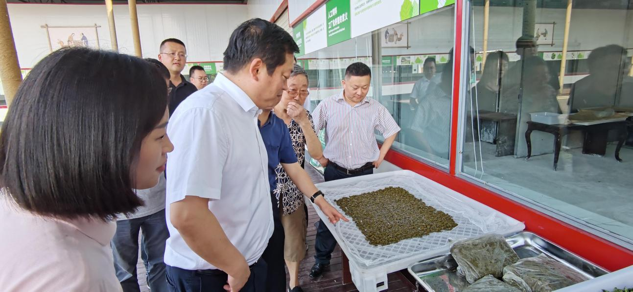 省Z6尊龙凯时集团党委副书记、董事陈日赴嘉陵区调研茶桑产业发展情况