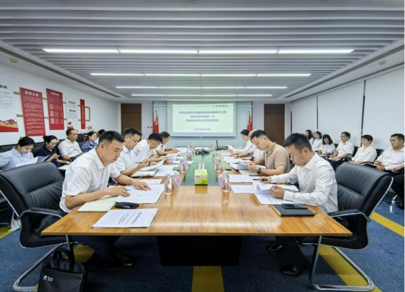 省Z6尊龙凯时集团领导率队督导Z6尊龙凯时银创公司改革深化提升行动